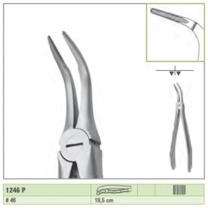 Pinza per estrazione radici mascella inferiore