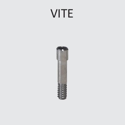 Vite Comp. Biomet 3i Certain