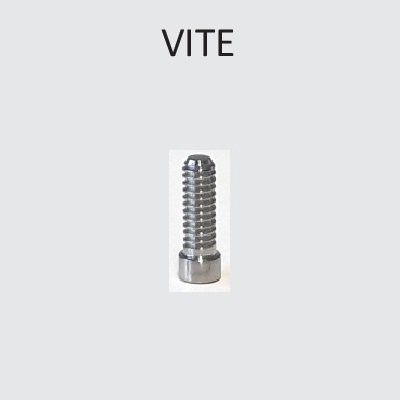 Vite Comp. Biomet 3i