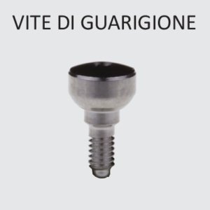 Vite di Guarigione