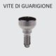 Vite di Guarigione