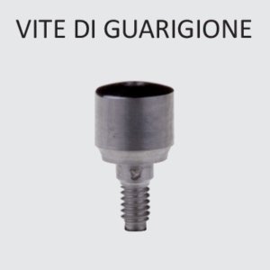 Vite di Guarigione Comp. Kohno