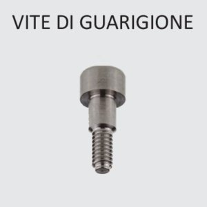 Vite di Guarigione Comp. Nobel Replace