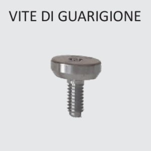 Vite di Guarigione Comp. Straumann Tissue Level